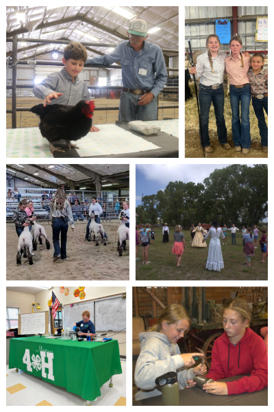 Collage of the major events in Teton County 4-H: Communications day, Fair, and Camp